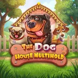 The Dog House Multihold gra w Lanista Casino dla graczy z Polski